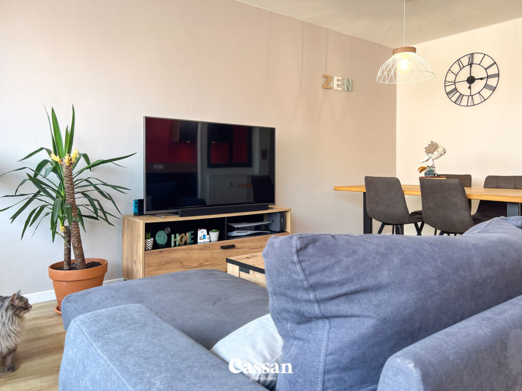 Séjour appartement à vendre Aurillac Cassan immobilier agence immobilière