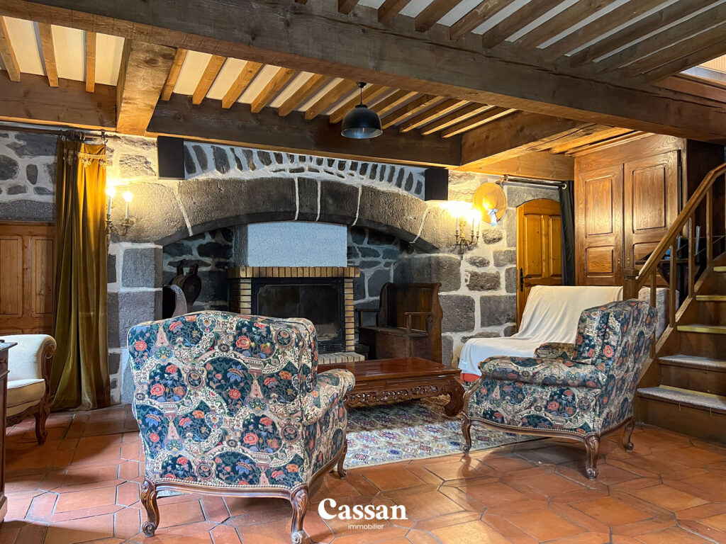 Salon maison à vendre Neussargues en Pinatelle Cassan immobilier agence immobilière