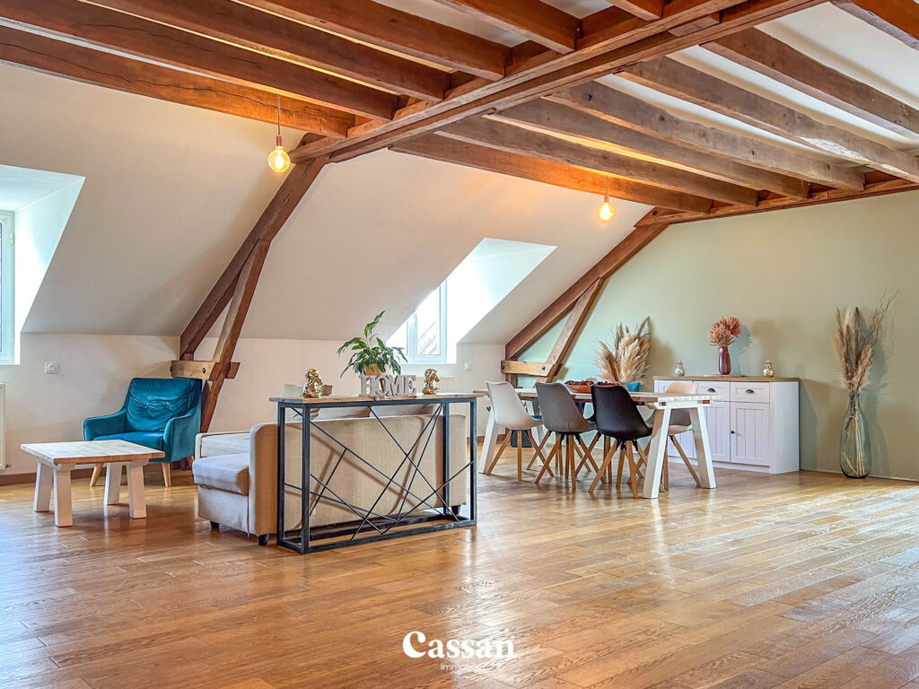 Séjour appartement à vendre Sansac de marmiesse Cassan immobilier agence immobilière