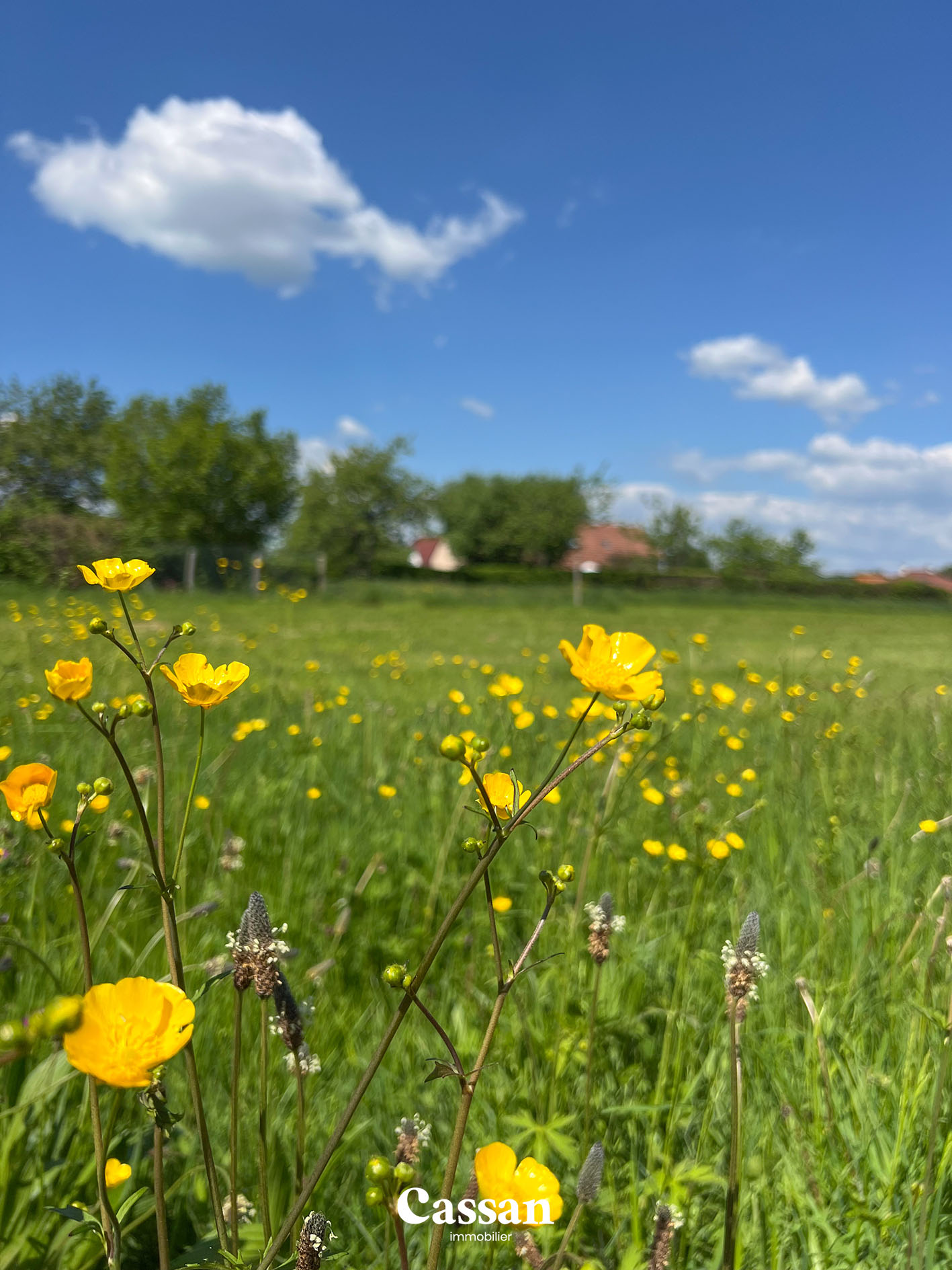 Grange à vendre Bex Ytrac agence immobilière Aurillac