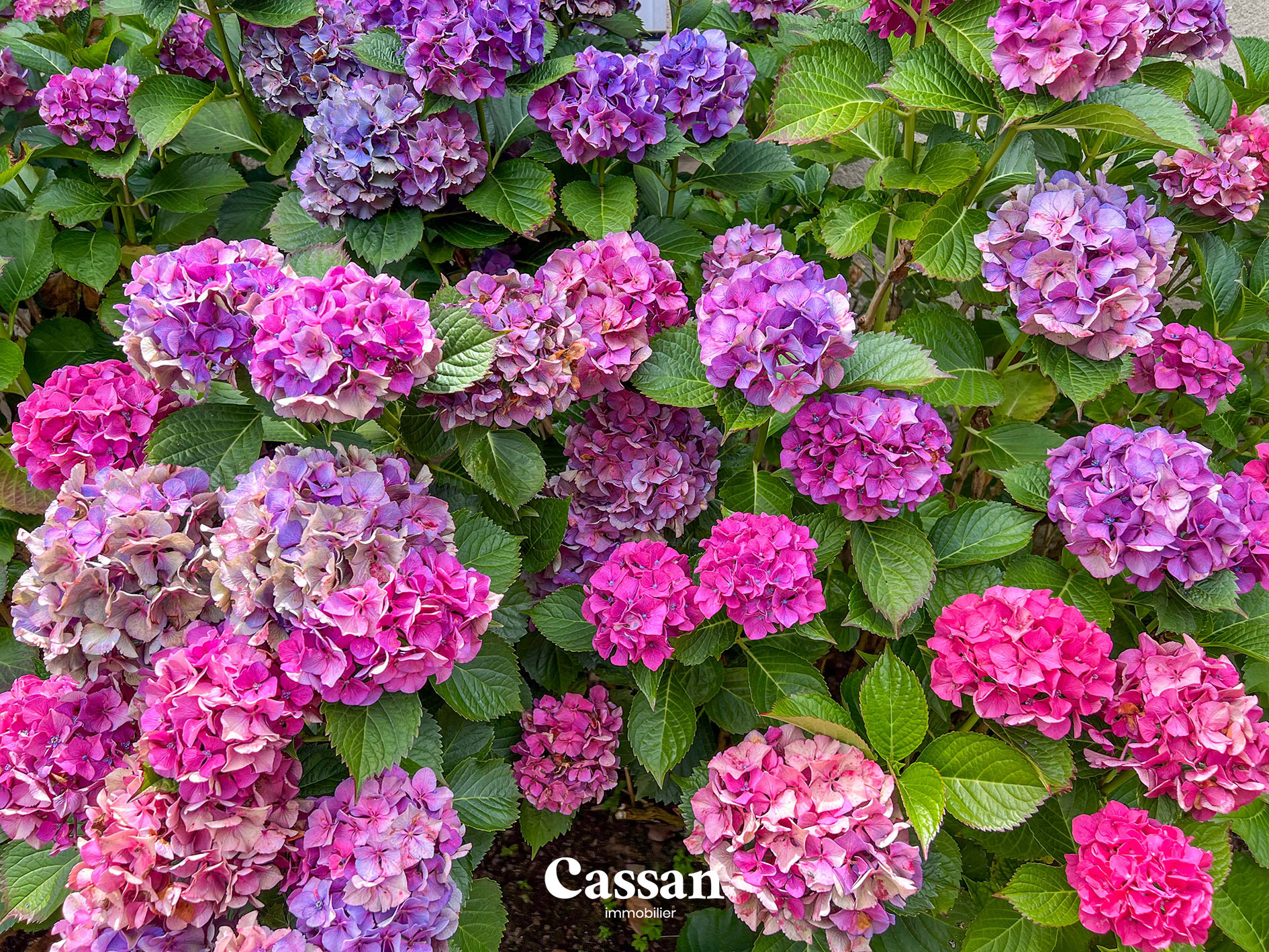 Maison à vendre Jussac Cassan Immobilier agence immobilière Aurillac