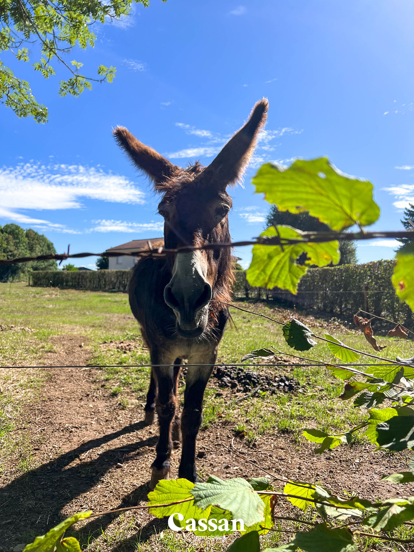 Maison à vendre Jussac Cassan Immobilier agence immobilière Aurillac