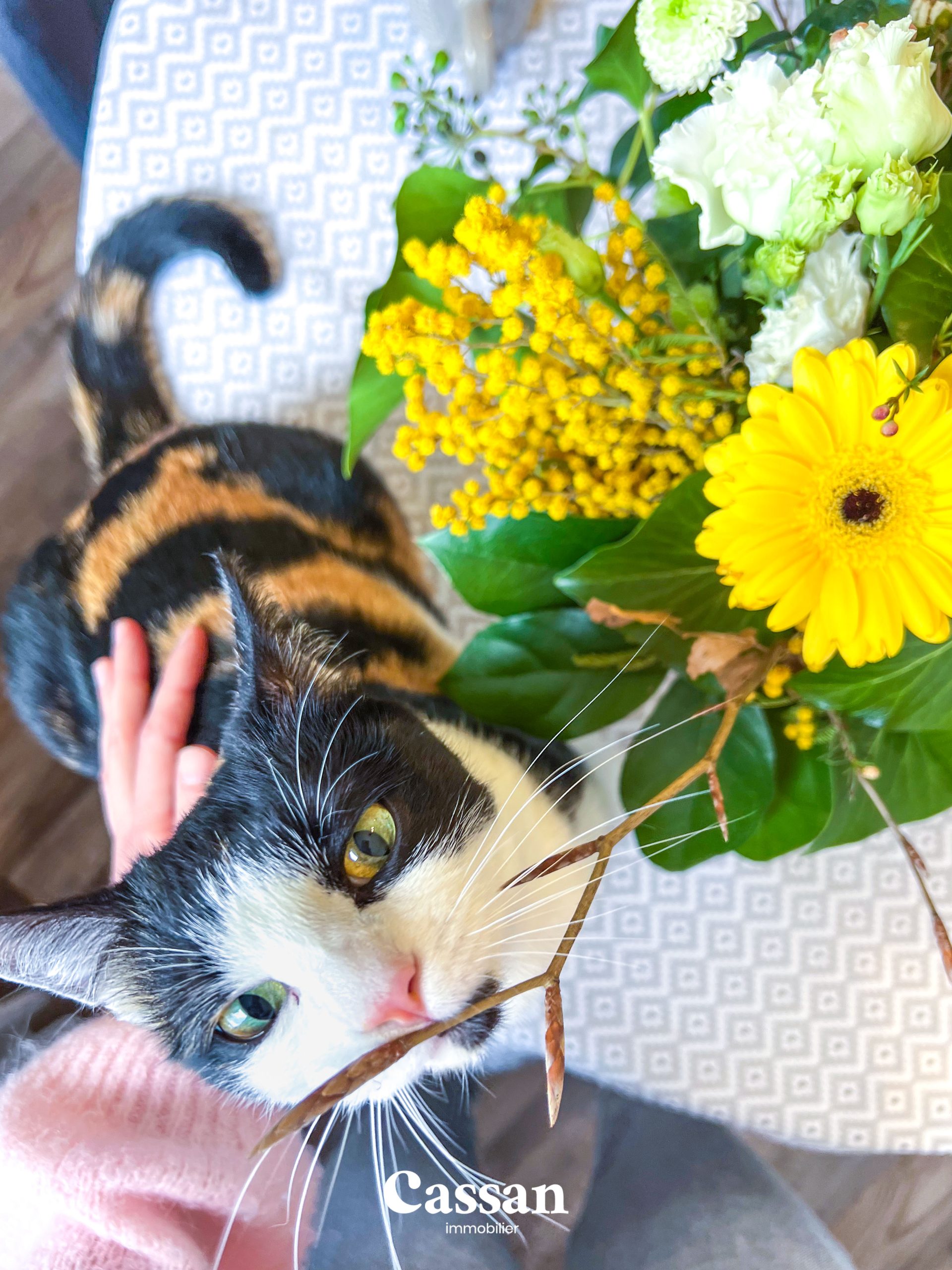 Appartement à vendre - Aurillac - Cassan immobilier Agence Immobilière Aurillac