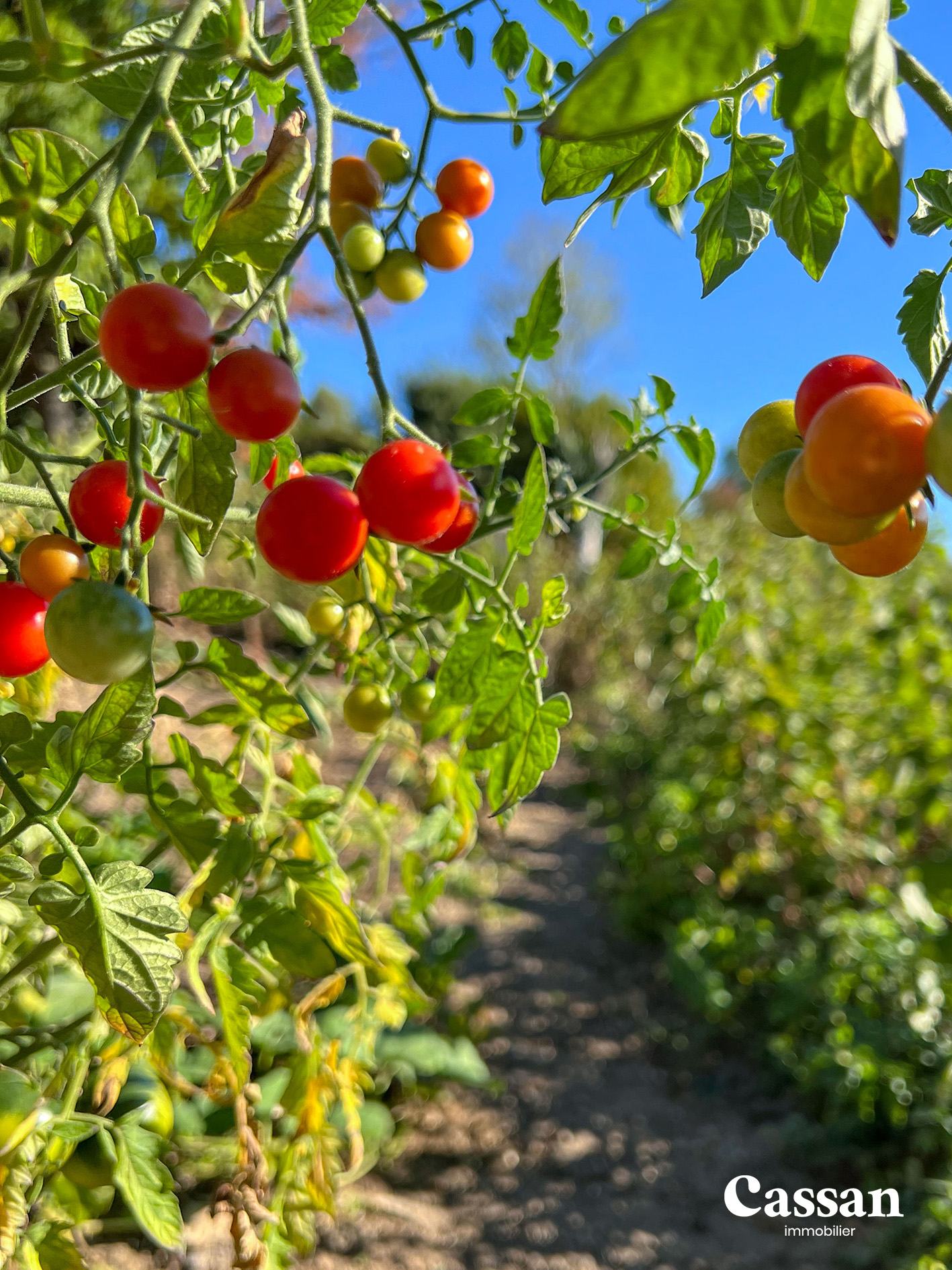 maison - Agence Cassan immobilière