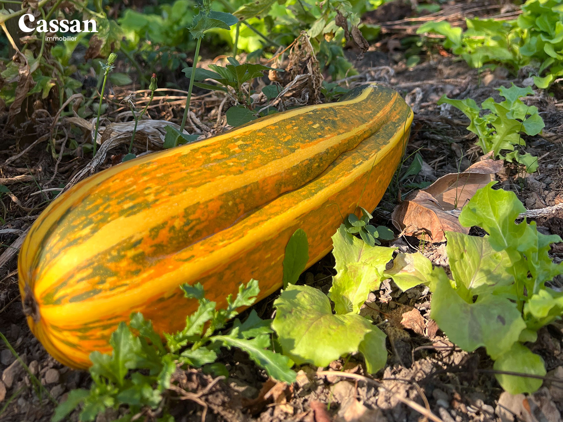 maison - Agence Cassan immobilière