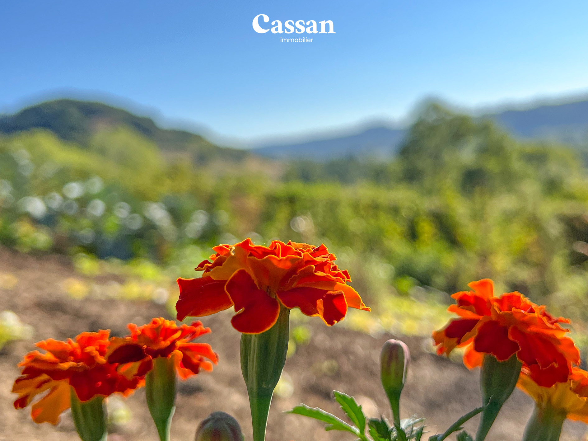 maison - Agence Cassan immobilière