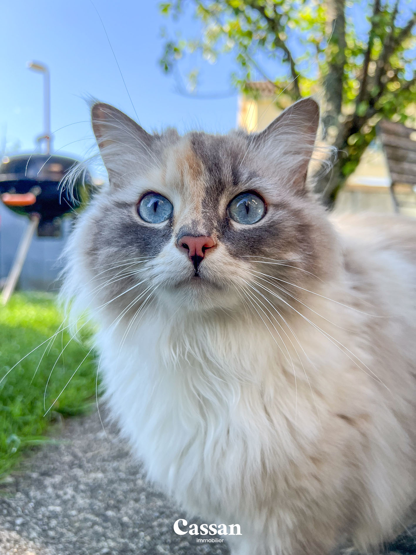 Maison vendue - Arpajon sur Cère - Cassan immobilier Agence Immobilière Aurillac