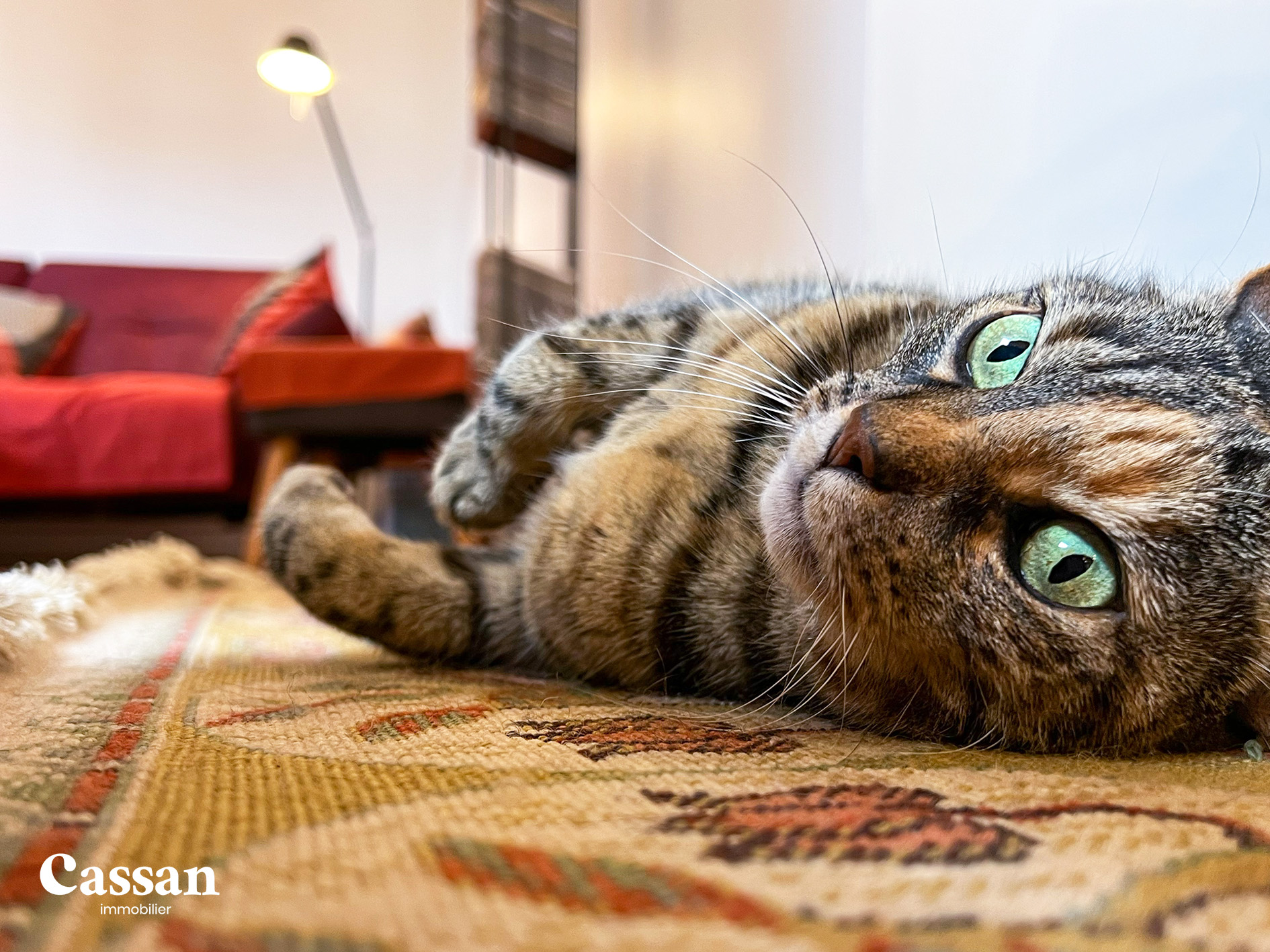 Appartement vendu - Aurillac - Cassan immobilier Agence Immobilière Aurillac