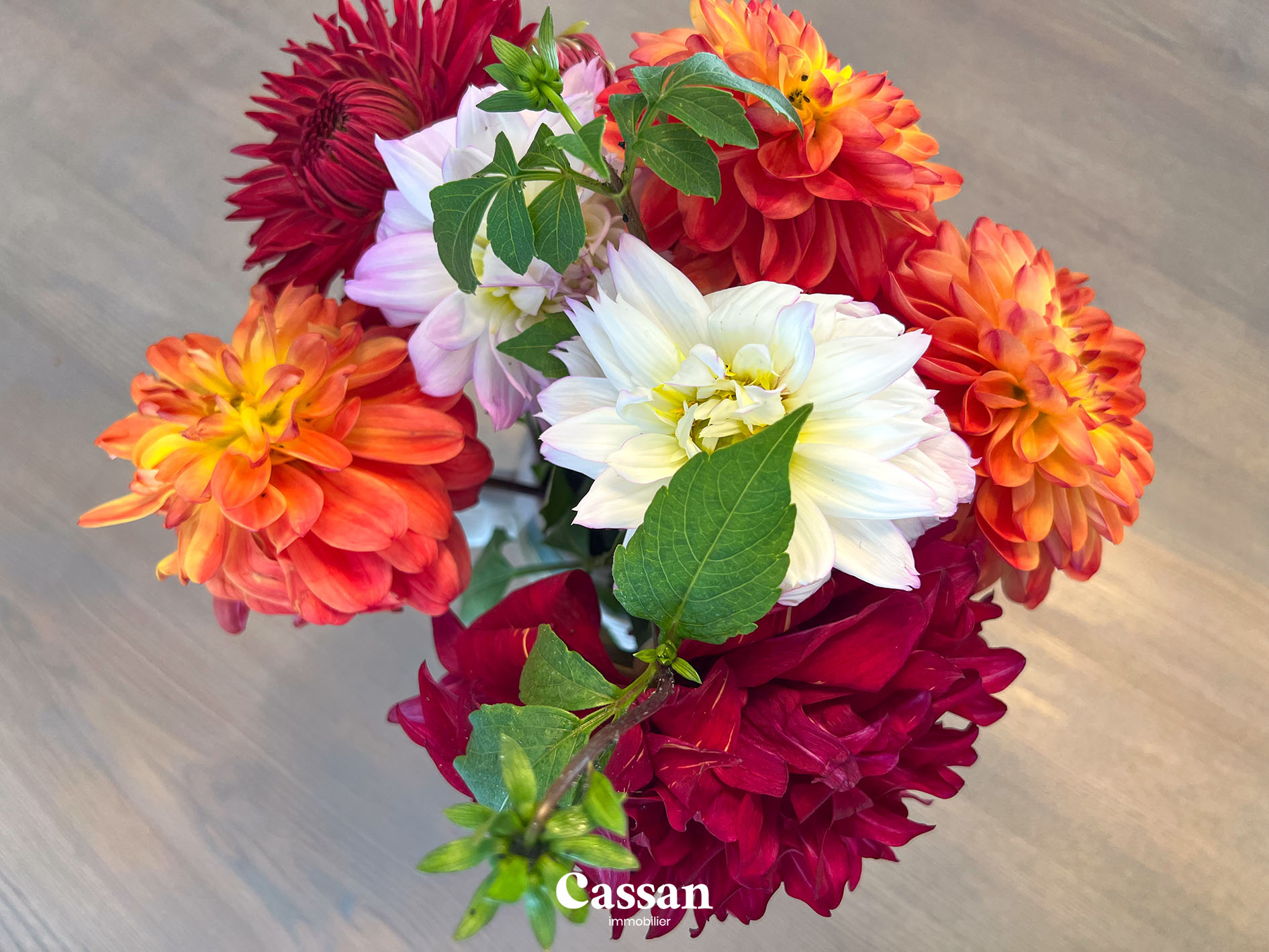 Maison vendu- Belbex - Cassan immobilier Agence Immobilière Aurillac