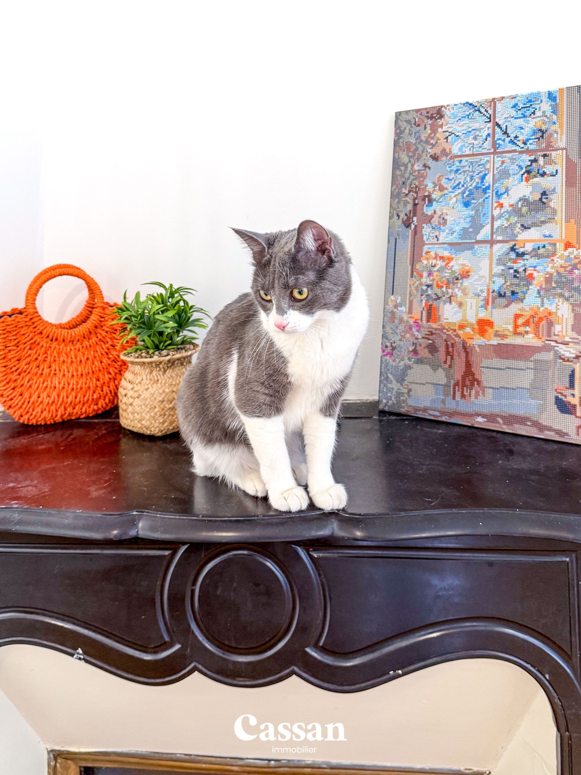 Maison à vendre - Aurillac - Cassan immobilier Agence Immobilière Aurillac