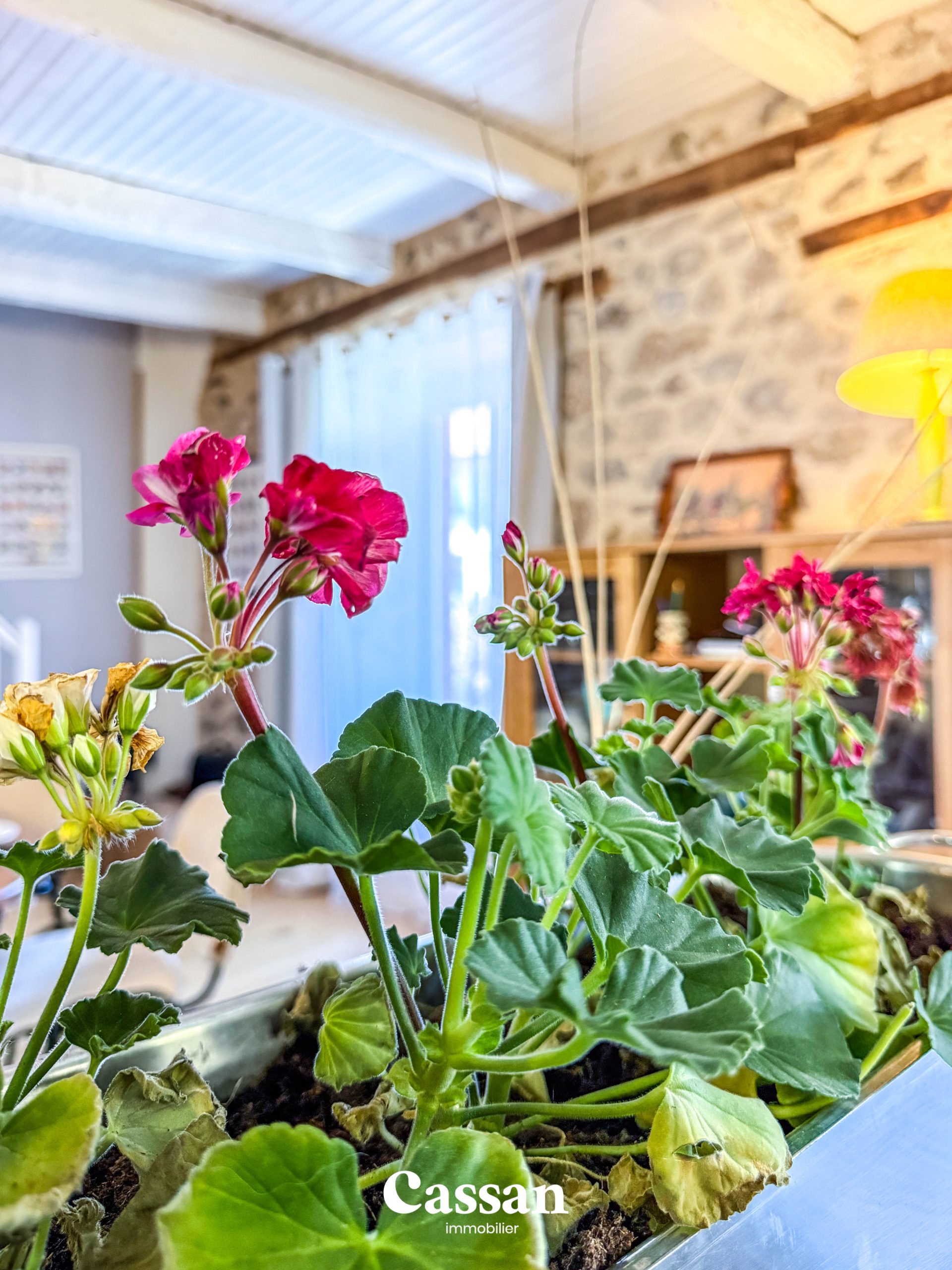 Maison à vendre - Marcolès - Cassan immobilier Agence Immobilière Aurillac