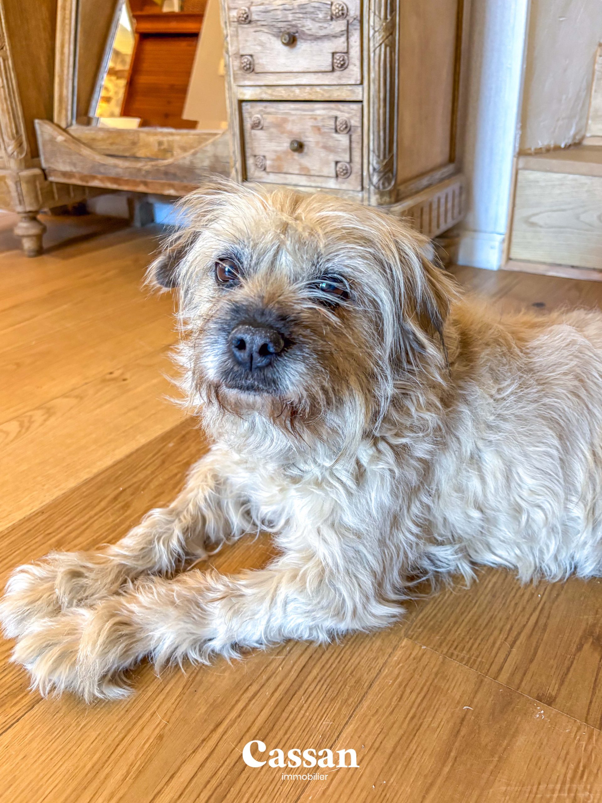 Maison à vendre - Marcolès - Cassan immobilier Agence Immobilière Aurillac