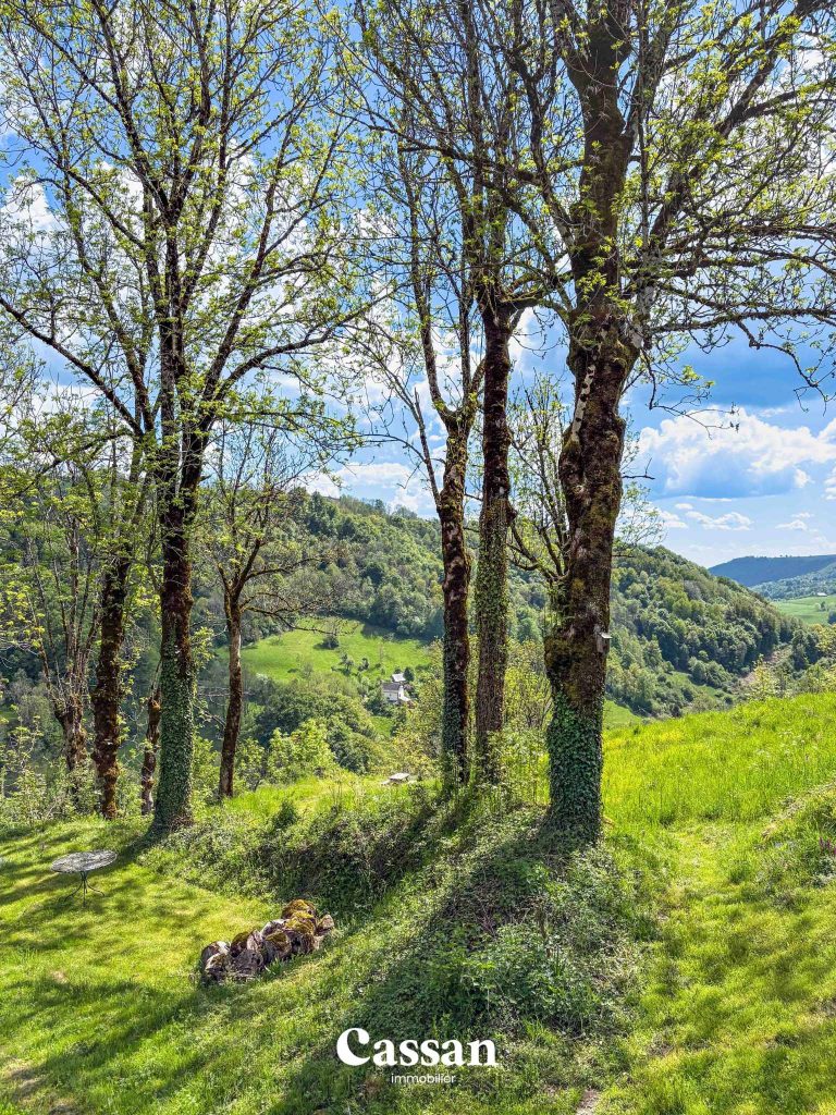 Maison à vendre - Saint Clément - Cassan immobilier Agence Immobilière Aurillac