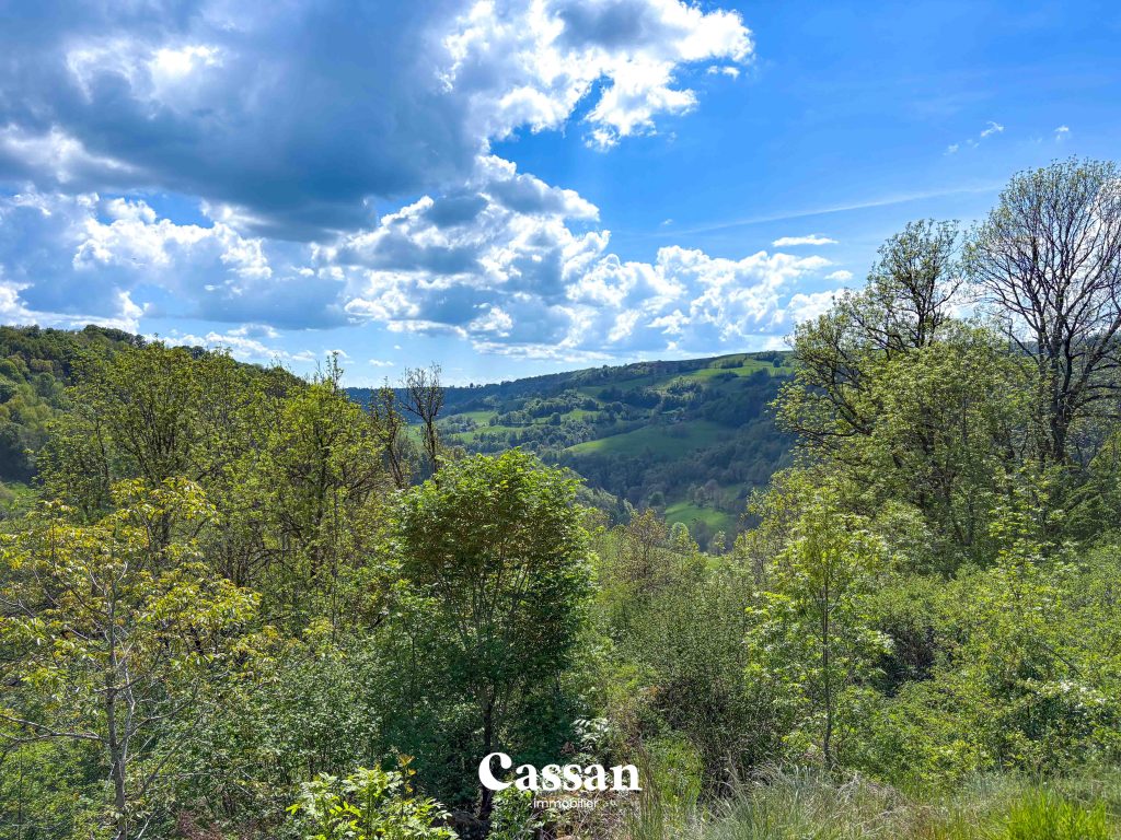 Maison à vendre - Saint Clément - Cassan immobilier Agence Immobilière Aurillac
