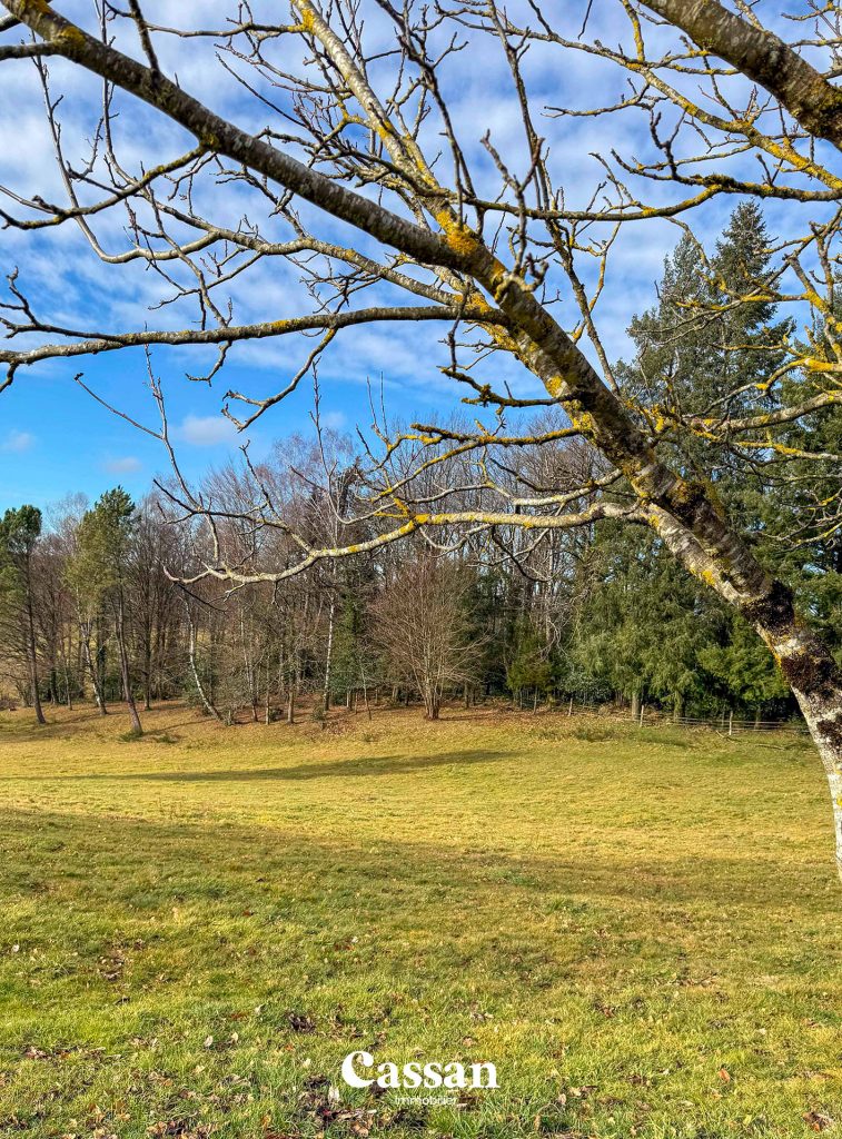 maison à vendre - Siran - Cassan immobilier